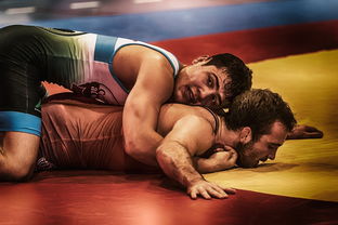 综合格斗赛场焦点！荷兰队对阵澳大利亚队，连胜纪录继续刷新，球队势不可挡